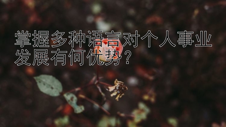 掌握多种语言对个人事业发展有何优势？