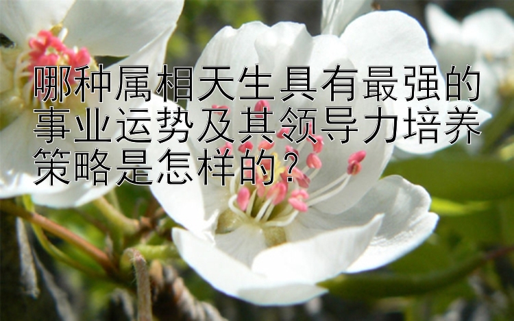 哪种属相天生具有最强的事业运势及其领导力培养策略是怎样的？