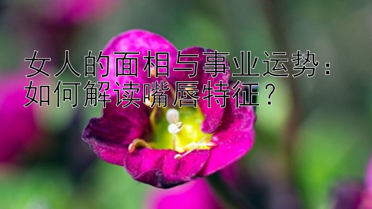 女人的面相与事业运势：如何解读嘴唇特征？