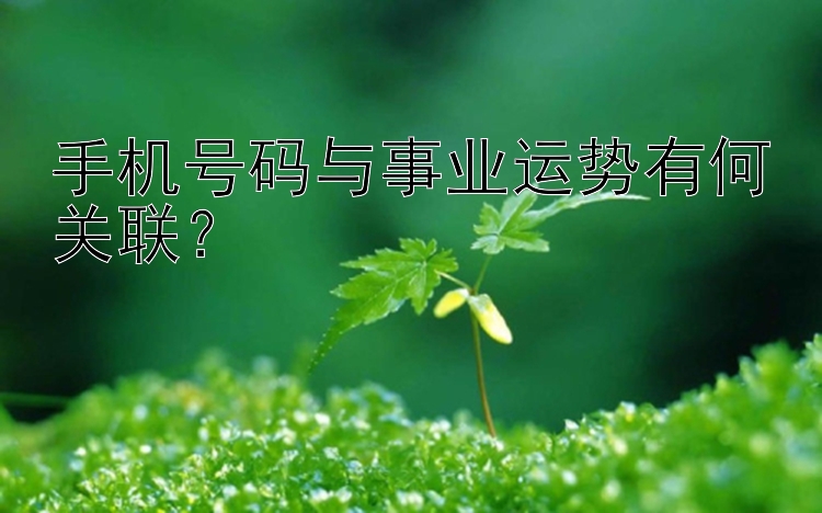 手机号码与事业运势有何关联？