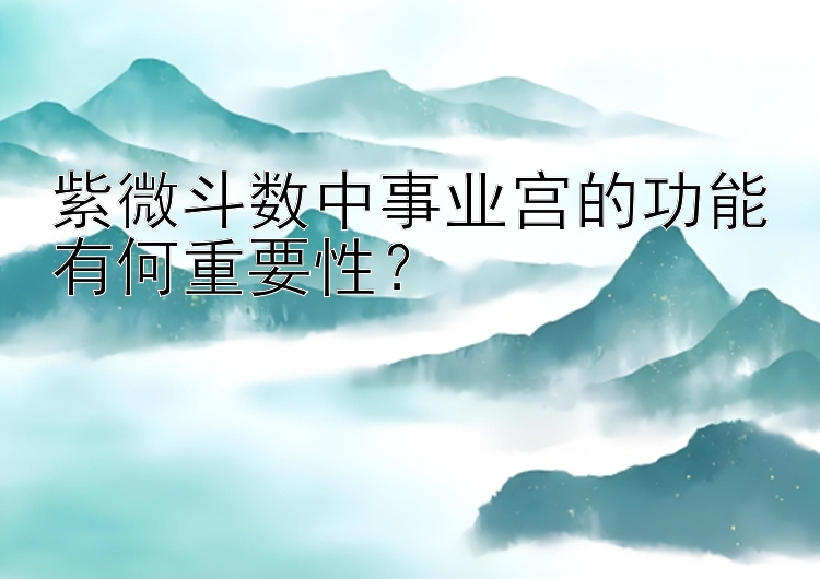 紫微斗数中事业宫的功能有何重要性？