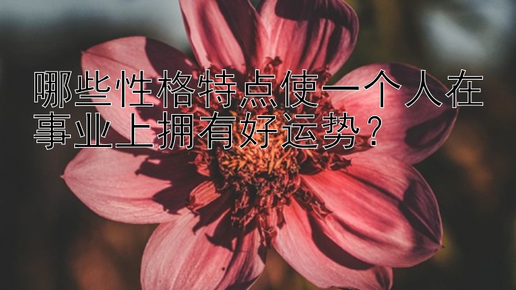 哪些性格特点使一个人在事业上拥有好运势？