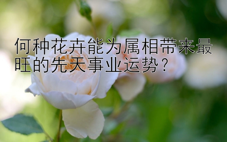 何种花卉能为属相带来最旺的先天事业运势？