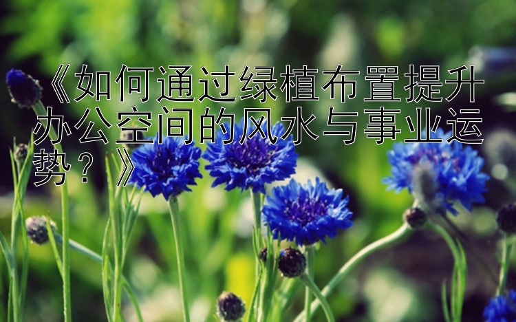 《如何通过绿植布置提升办公空间的风水与事业运势？》