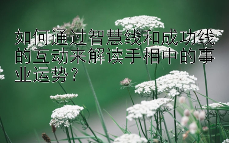 如何通过智慧线和成功线的互动来解读手相中的事业运势？