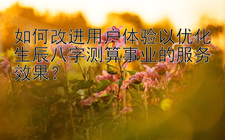 如何改进用户体验以优化生辰八字测算事业的服务效果？