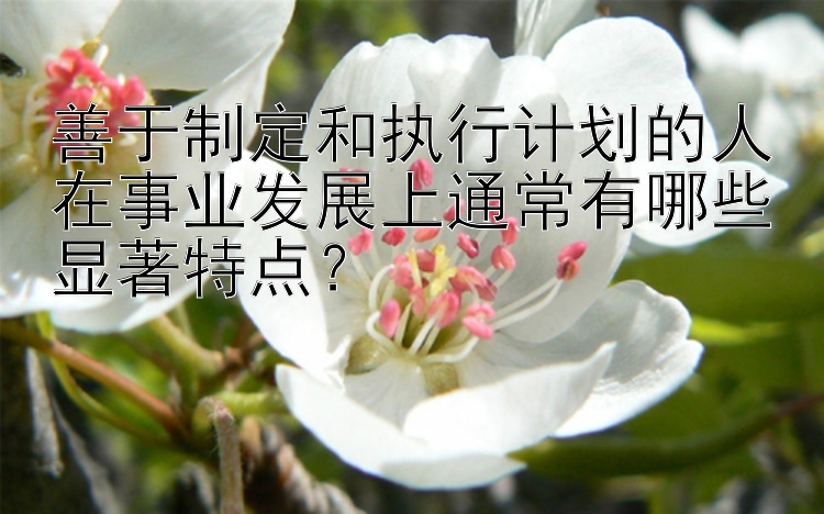 善于制定和执行计划的人在事业发展上通常有哪些显著特点？