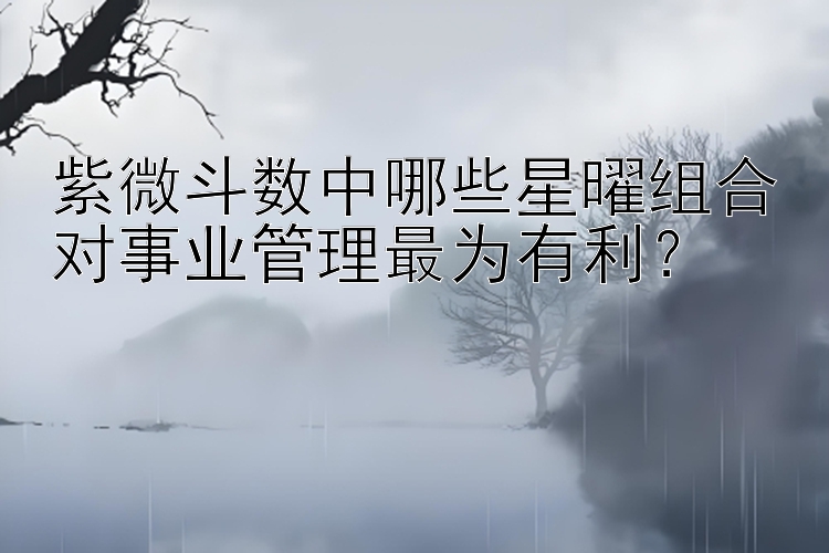 紫微斗数中哪些星曜组合对事业管理最为有利？