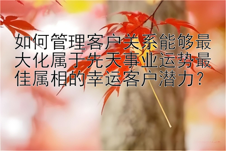 如何管理客户关系能够最大化属于先天事业运势最佳属相的幸运客户潜力？