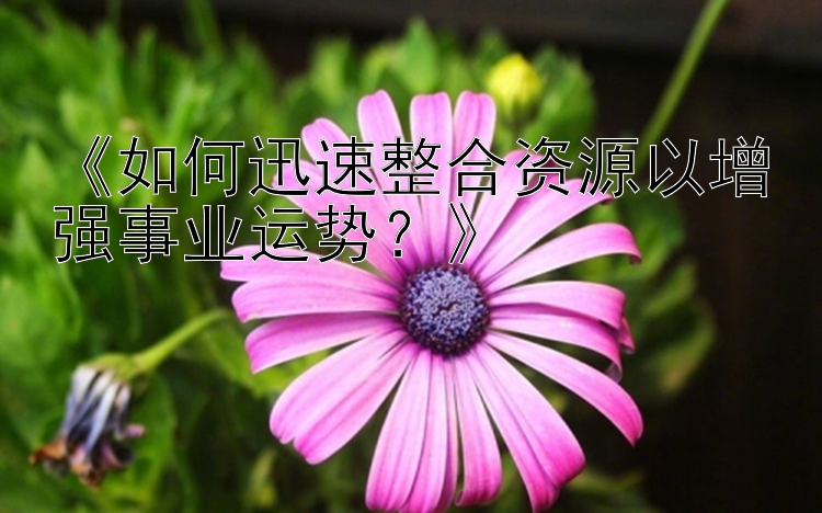 《如何迅速整合资源以增强事业运势？》