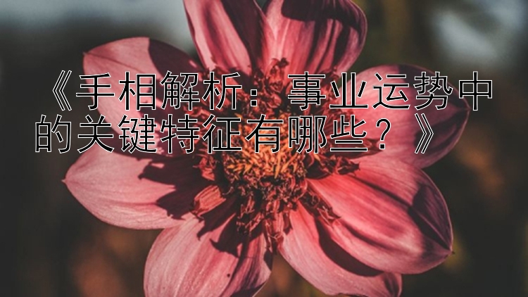 《手相解析：事业运势中的关键特征有哪些？》