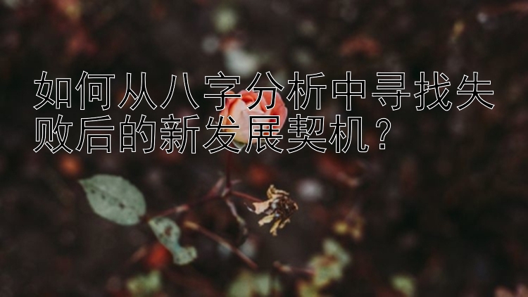 如何从八字分析中寻找失败后的新发展契机？