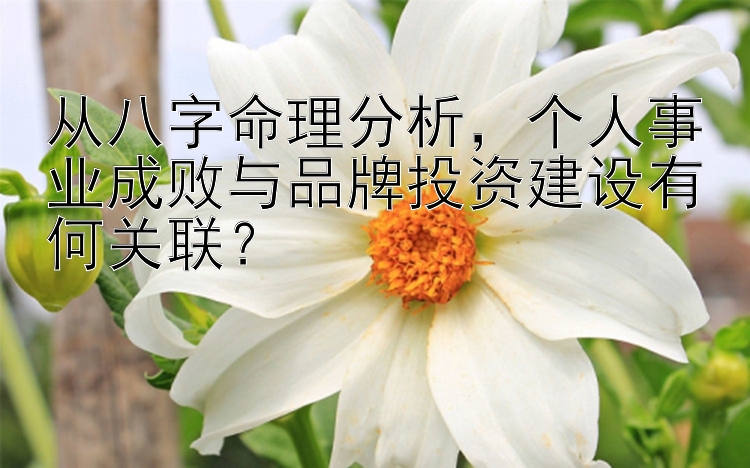 从八字命理分析，个人事业成败与品牌投资建设有何关联？