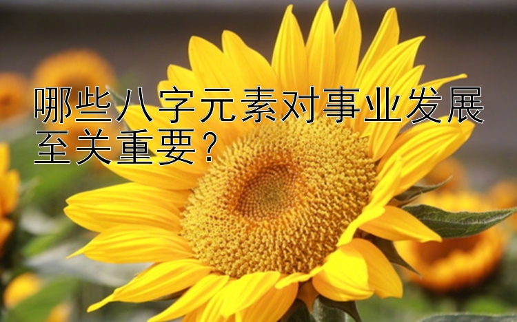 哪些八字元素对事业发展至关重要？