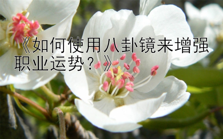 《如何使用八卦镜来增强职业运势？》