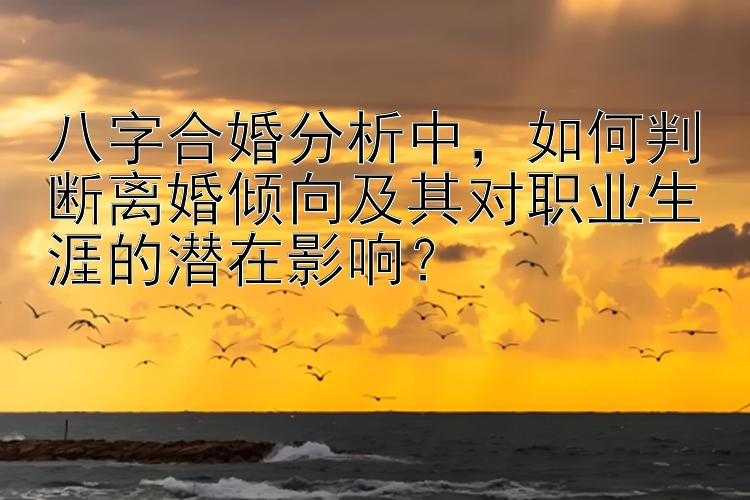 八字合婚分析中，如何判断离婚倾向及其对职业生涯的潜在影响？