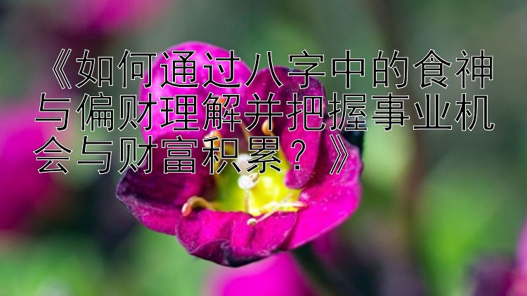 《如何通过八字中的食神与偏财理解并把握事业机会与财富积累？》