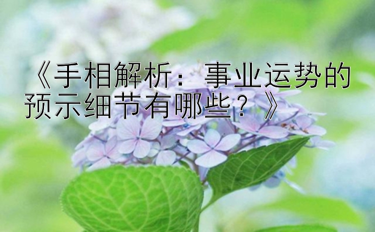 《手相解析：事业运势的预示细节有哪些？》