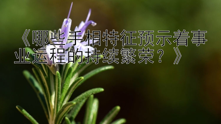 《哪些手相特征预示着事业运程的持续繁荣？》