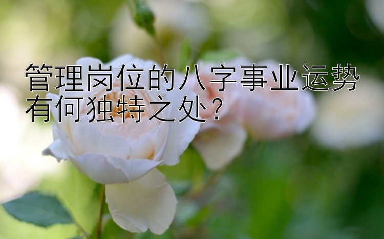 管理岗位的八字事业运势有何独特之处？