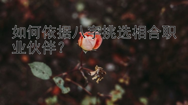 如何依据八字挑选相合职业伙伴？