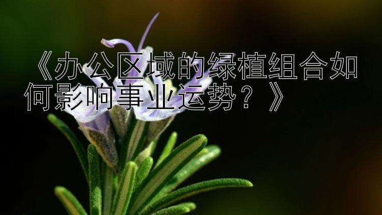 《办公区域的绿植组合如何影响事业运势？》