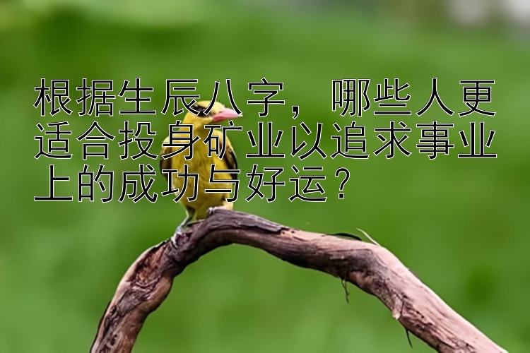 根据生辰八字，哪些人更适合投身矿业以追求事业上的成功与好运？