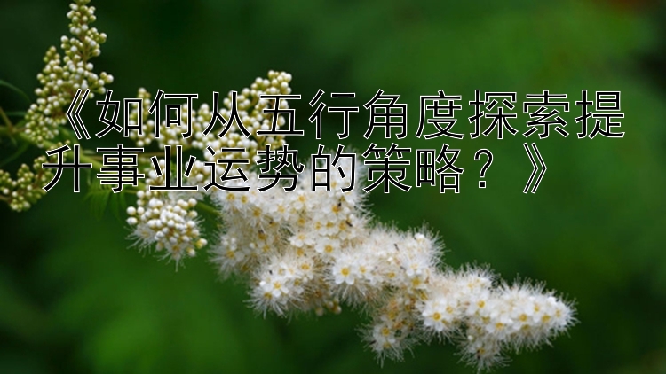 《如何从五行角度探索提升事业运势的策略？》