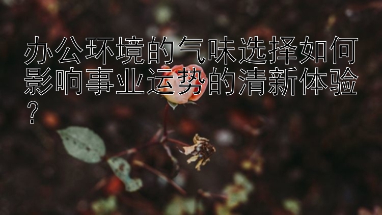 办公环境的气味选择如何影响事业运势的清新体验？